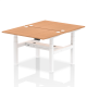 Rayleigh Back-to-Back 2 Person Height Adjustable Bench Desk